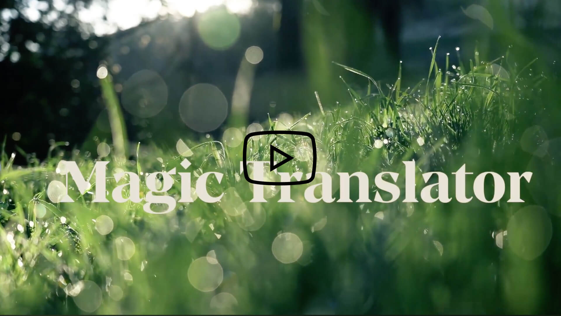 Automate hotel website translations with our new magic translator